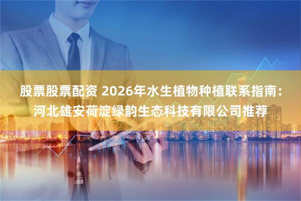 股票股票配资 2026年水生植物种植联系指南：河北雄安荷淀绿韵生态科技有限公司推荐